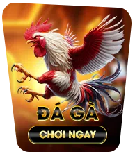 NOHU90: KHUYẾN MÃI TẶNG 68K CHO THÀNH VIÊN MỚI – ĐĂNG KÝ NGAY! 13 icon da ga.png